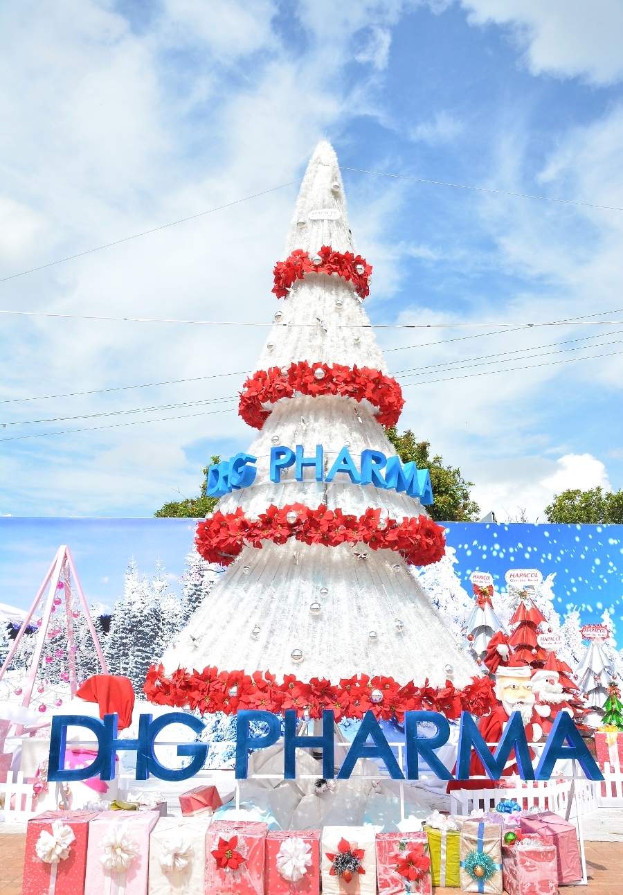 giang sinh 2015 dhgpharma 11