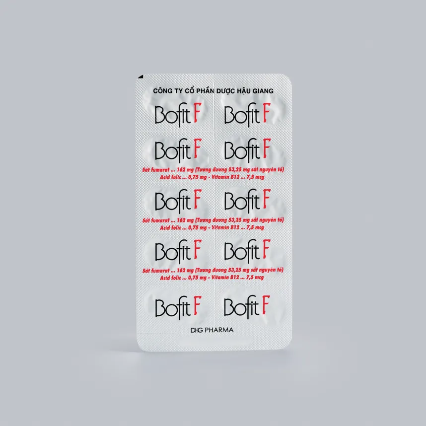 Bofit_F-Vi_sau.png